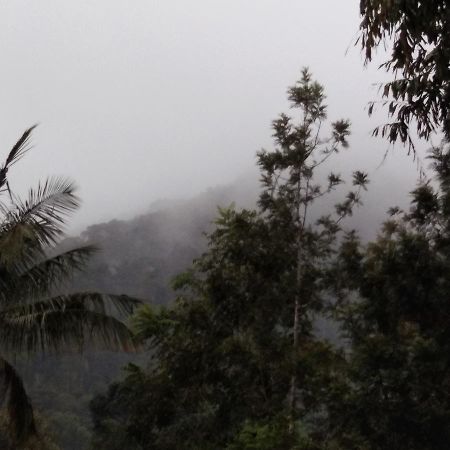 Bandekallu Homestay Chikmagalūr Exterior foto